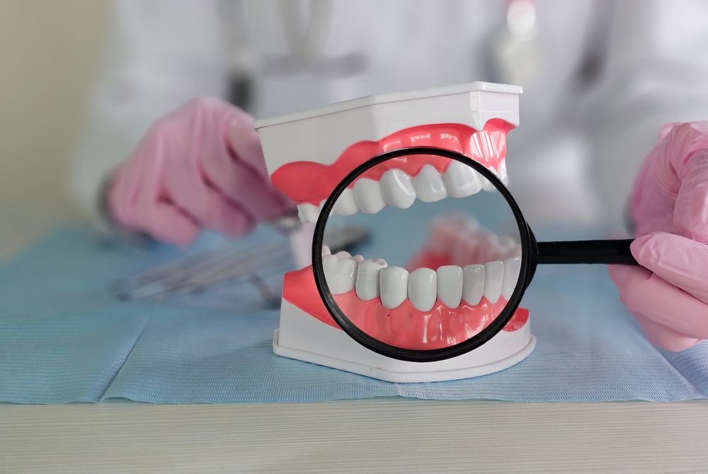 365디지털치과-둔산동네비게이션치과- 치아 모형을 돋보기로 확대하여 자세히 보고 있는 사진