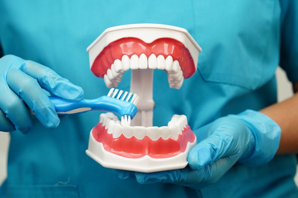 둔산동임플란트-365디지털치과-임플란트 사후관리 중 칫솔질